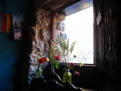 img-2660.jpg